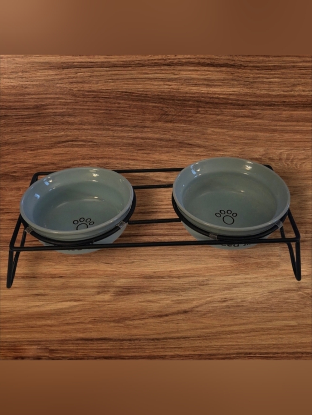 Ceramic Elevated Cat Bowls in Sage Green with Black Stand